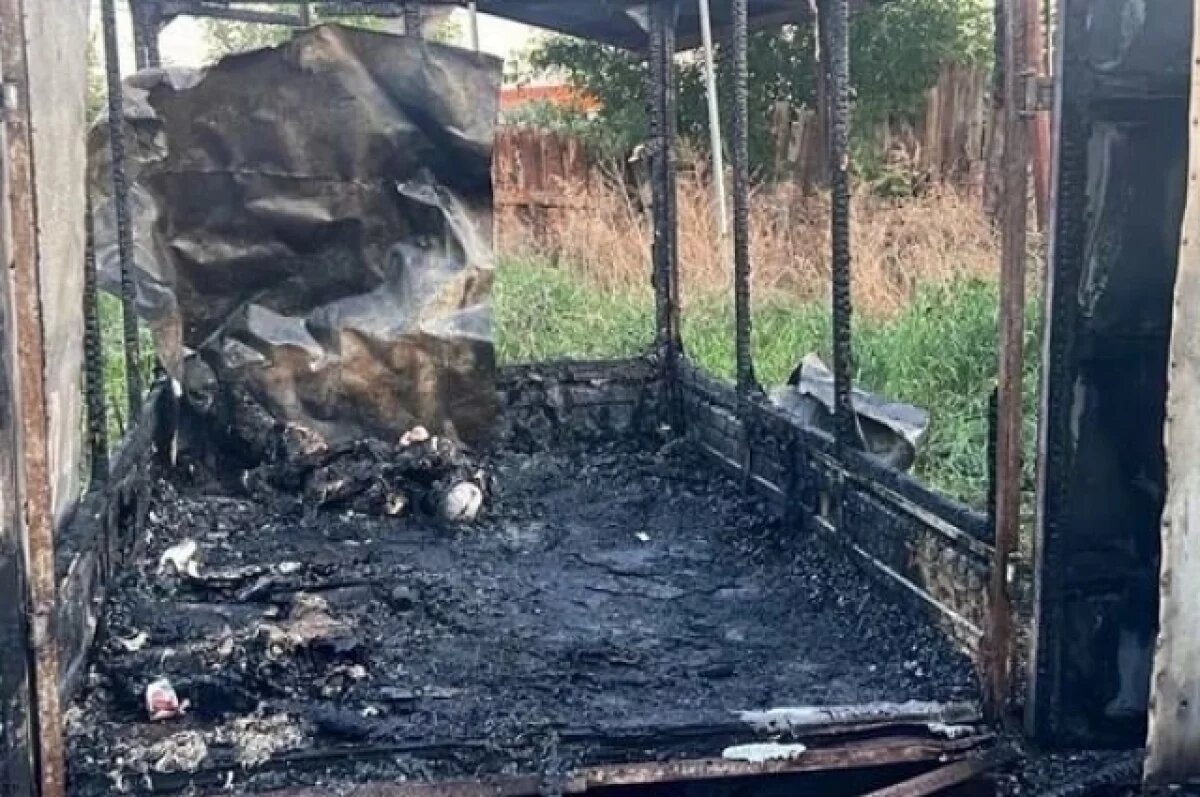    «Как они там оказались?»