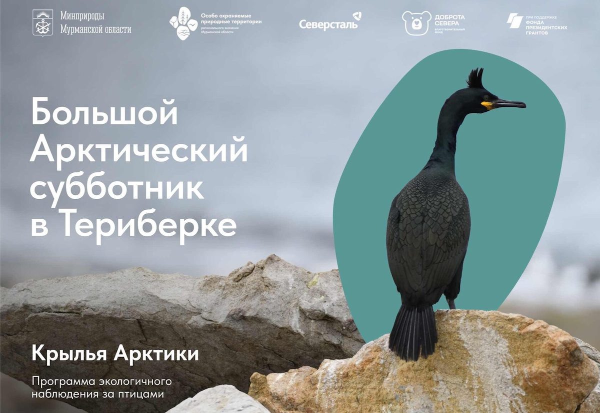Источник: dobrotasevera.org