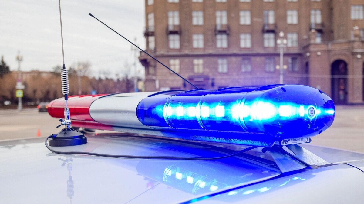     Источник: 1MI