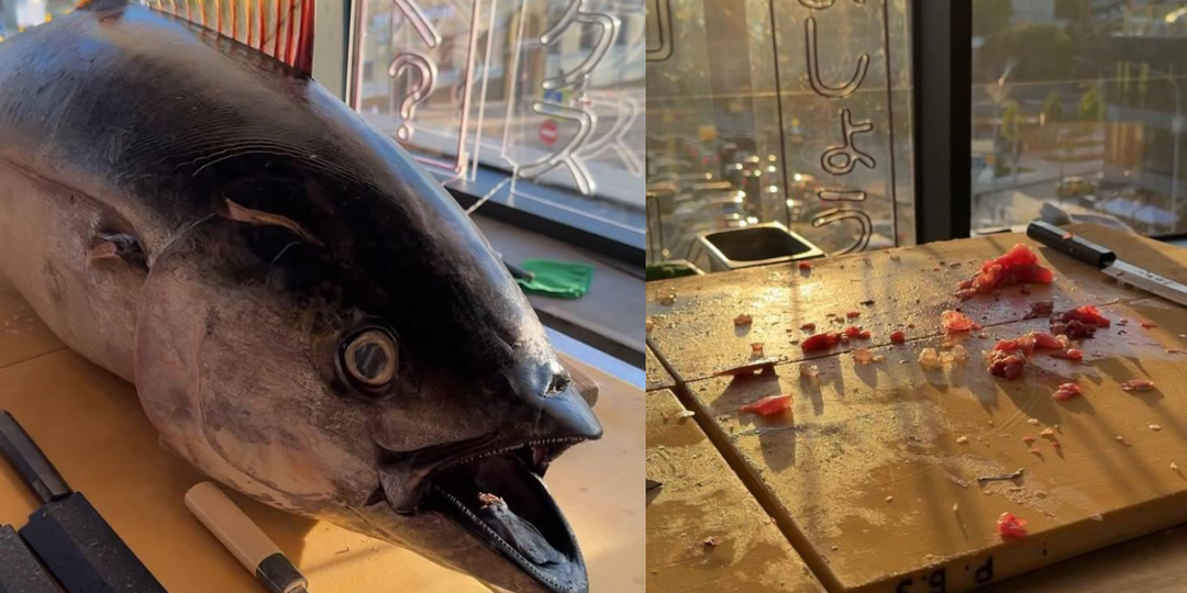Как попасть на Tuna Cutting Show не выезжая из Москвы