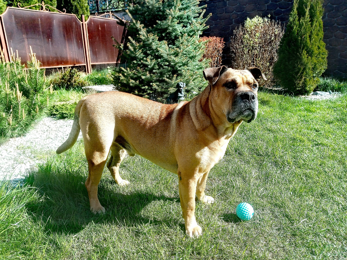 Фото автора. Мой друг.