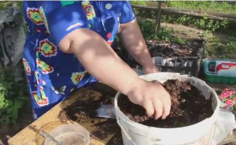 приготовила перегной