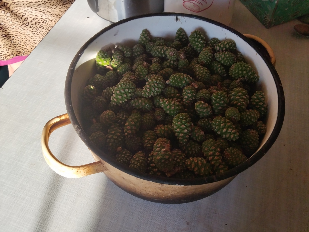 Варенье из побегов лучше на ночь от кашля и для хорошего сна помогает, на себе проверил. Чайную ложку ,максимум принимать.