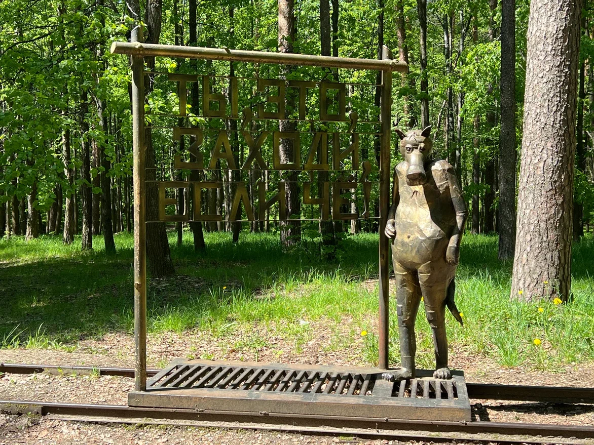 Скульптуры из металла В.В. Волкова, Парк им. Степанова, Иваново. Фото автора.