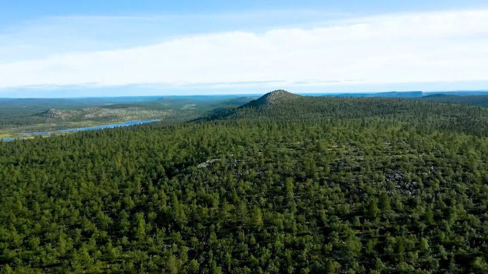 Фото: © Кадр из программы "Загадки человечества", РЕН ТВ