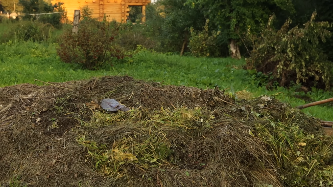 Готовлю быстрый компост из сорняков