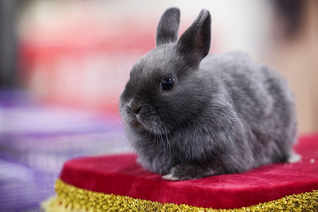    Фото © Анастасия Романова / Абзац