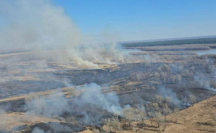 Фото:. https://t.me/tomenko_22