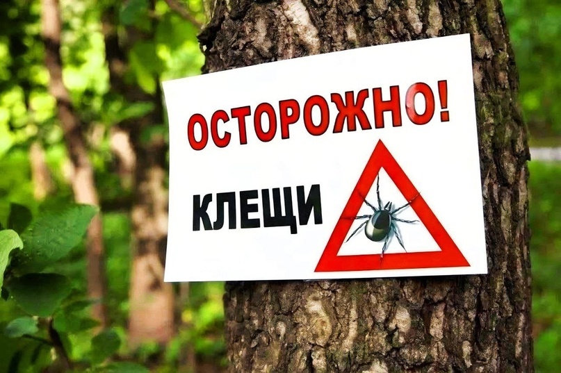 #укусклеща #укусыклещами #послеклеща #клещчтоделать #обработкаотклеща