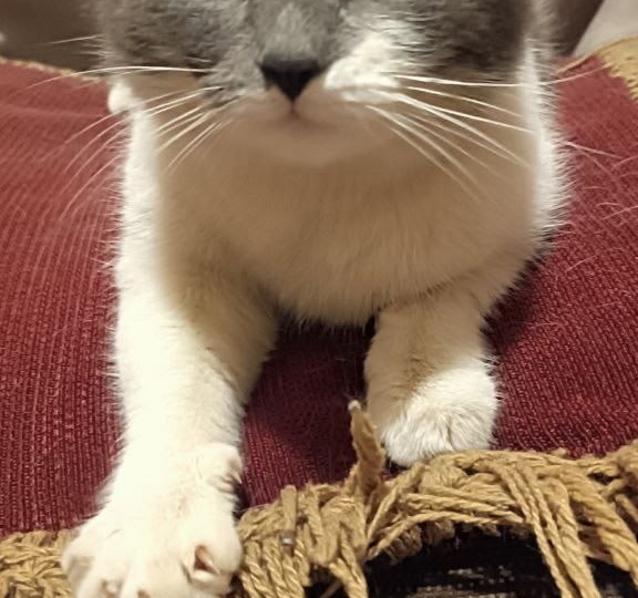 ❗ДОМА❗Ребенок как ненужная игрушка