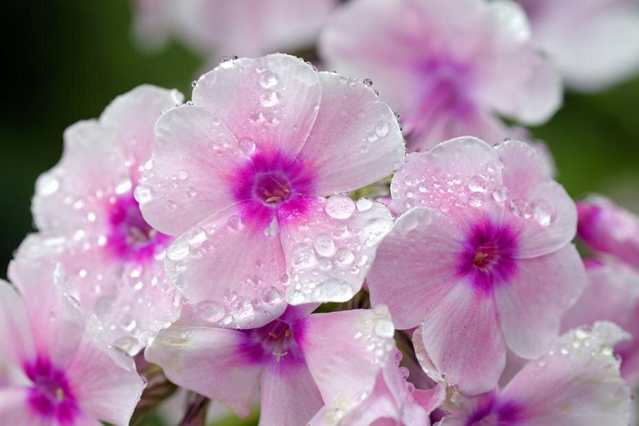    C. Wermter/blickwinkel/Global Look Press