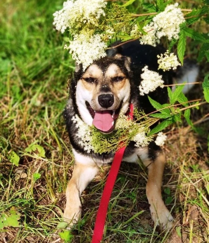 Правда ведь - Дарина - картинка?!!