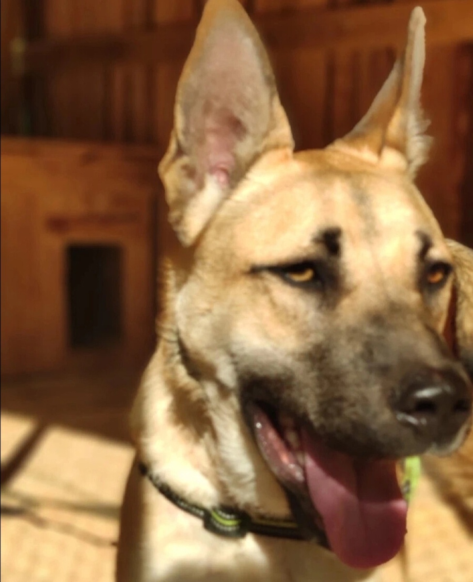 Лучик- Лучано .