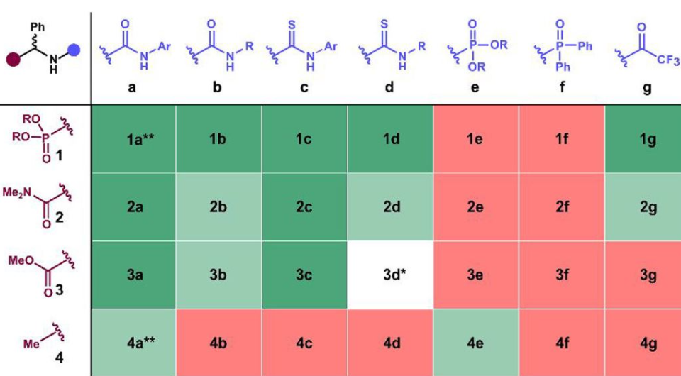   Anka Hagelschuer et al. / Journal of the American Chemical Society, 2025