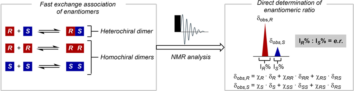   Anka Hagelschuer et al. / Journal of the American Chemical Society, 2025