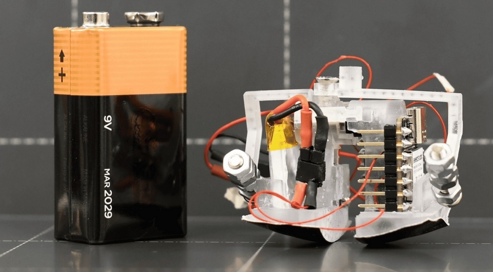   Steven Man et al. / arXiv, 2025