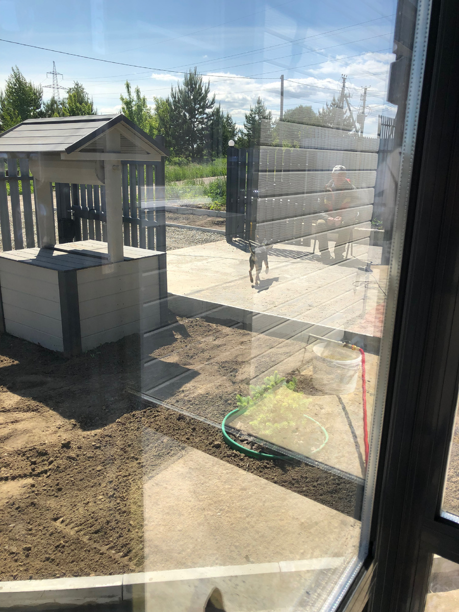 соседская собачка прискакала