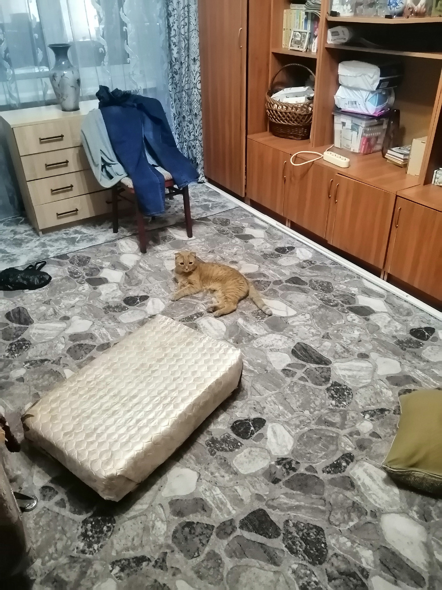 Фото автора 