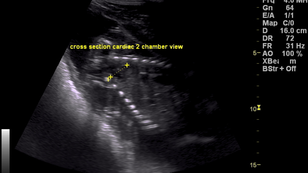    Фото: COVER Images/Keystone Press Agency/Globallookpress