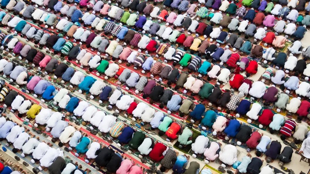    Фото: shutterstock.com / Insight-Photography