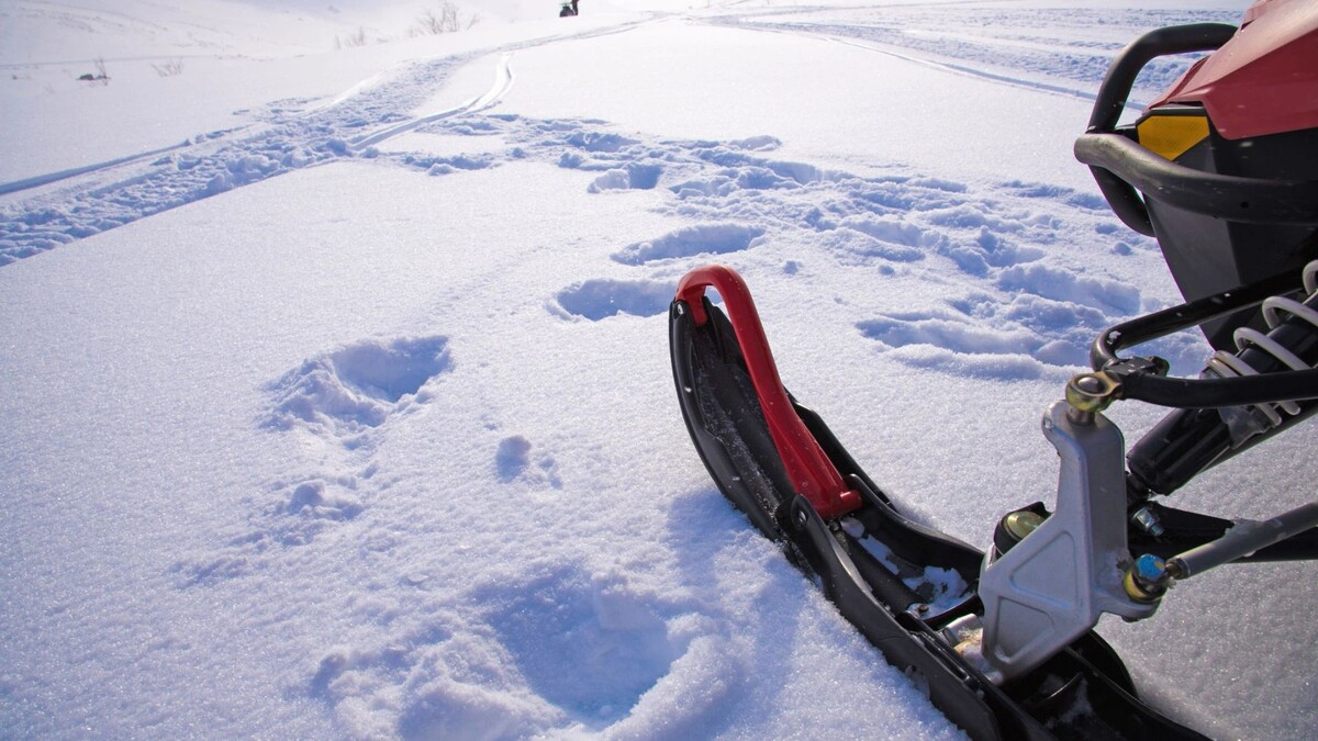    Фото: Natasha-Aleksandra/Shutterstock/Fotodom