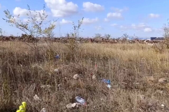    Мусорный полигон за кладбищем. Фото: Из личного архива/ Екатерина Гришина