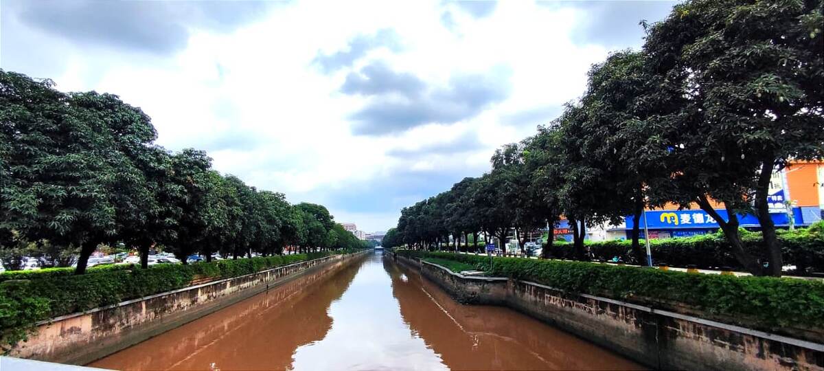 Река в Гуанчжоу, Китай (фото из личного архива)