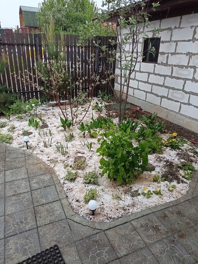 два дня выпадал снег