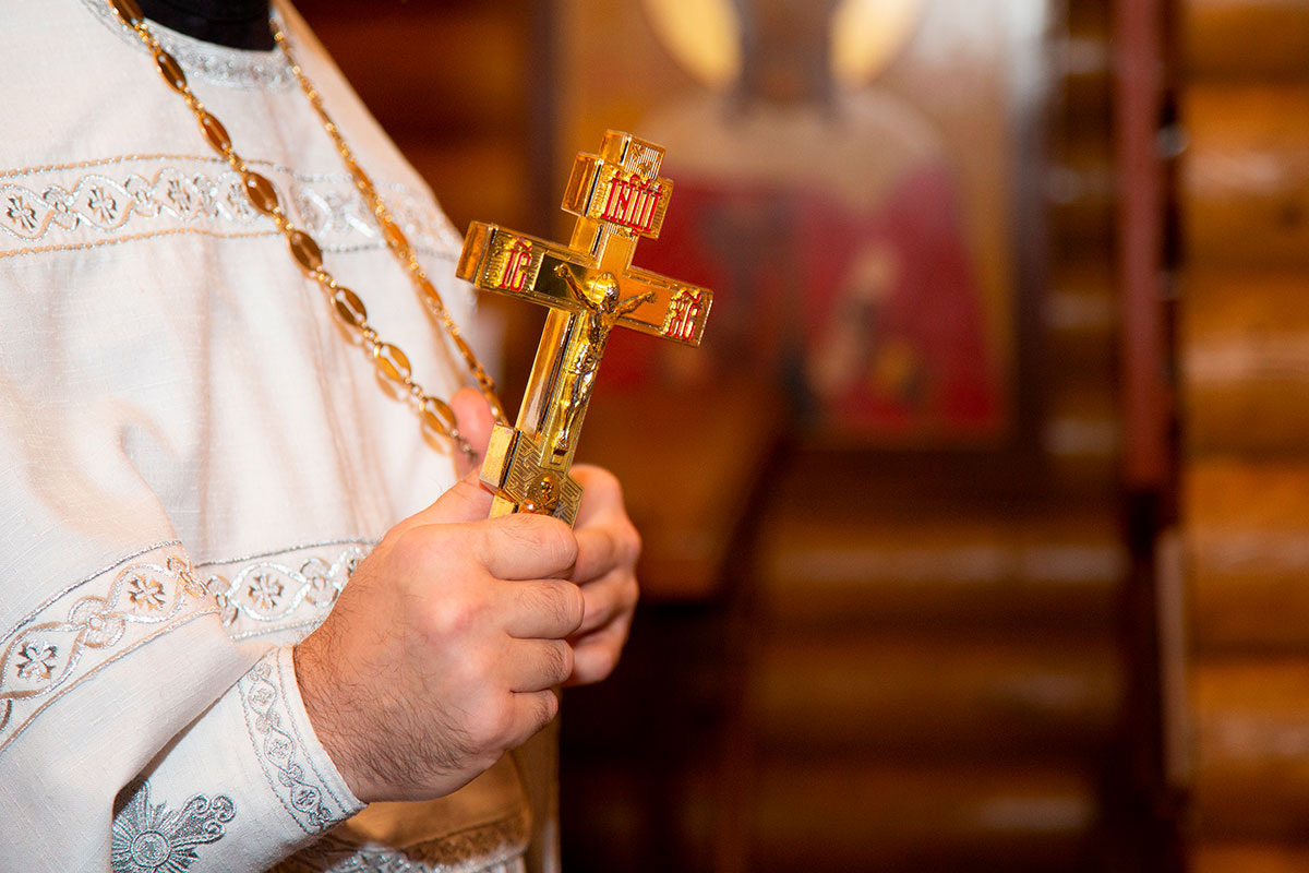    Фото: fortton / Shutterstock.com