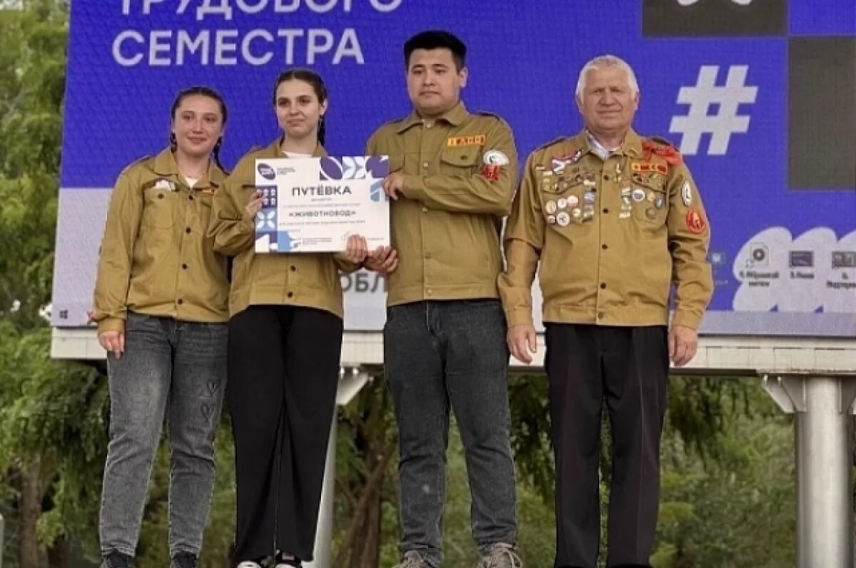    1,5 тысячи волгоградских студентов готовы потрудиться в студотрядах