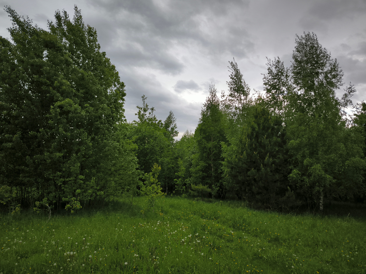 Погодка была так себе