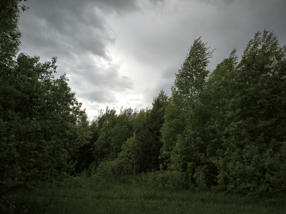 Временами начинался дождик