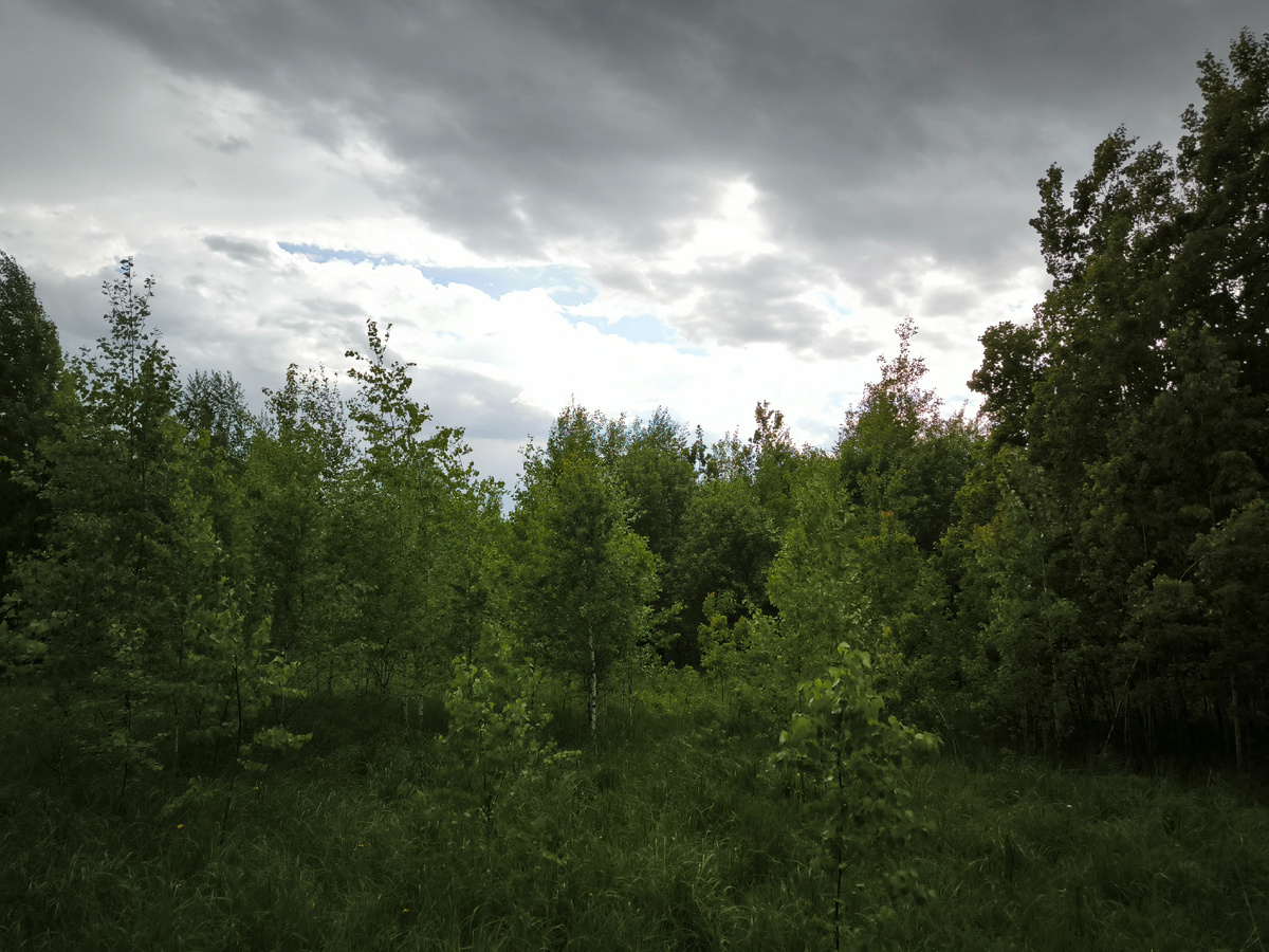 Но чувствовалось, что идёт тепло