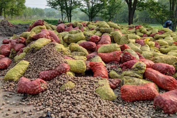 Обложка © Telegram / Svodka25 l Новости Приморья и Владивостока