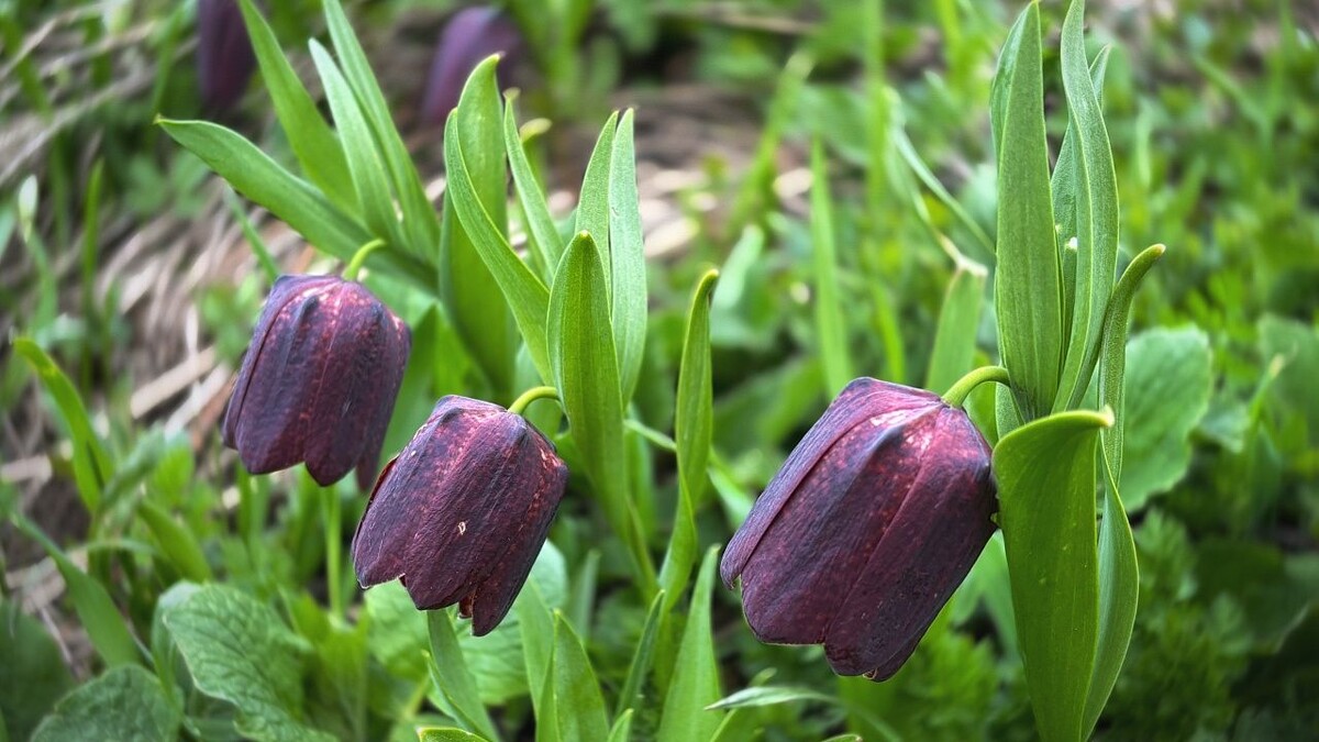    Фото: Наталья Елагина