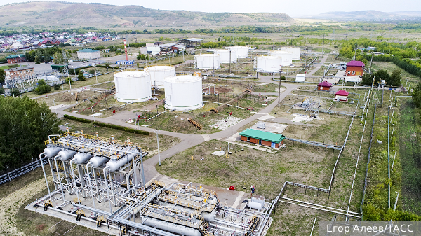     Фото: Егор Алеев/ТАСС   
 Текст: Валерия Городецкая
