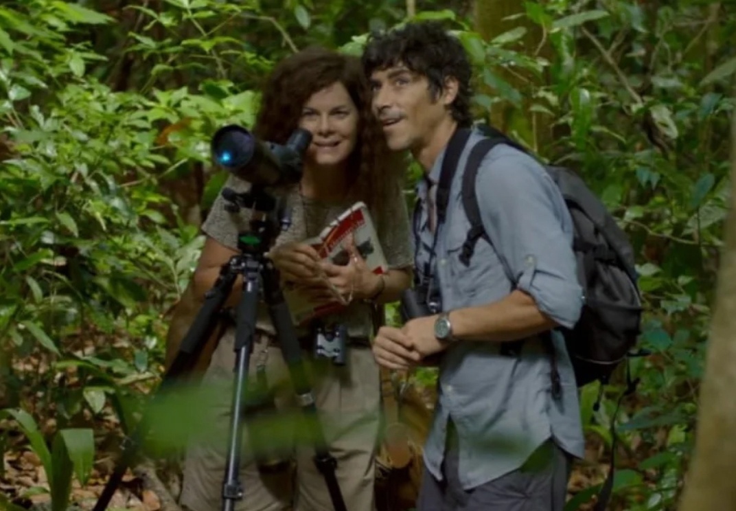 Из открытых источников