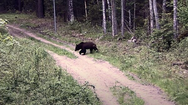    © Photo : Valstybės sienos apsaugos tarnyba