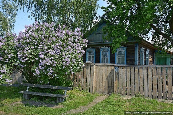 Когда по весне за окном буйно расцветала сирень, родители садились на скамеечку и Галя  между ними. Этими упоительными вечерами им казалось, что счастье будет вечным... 