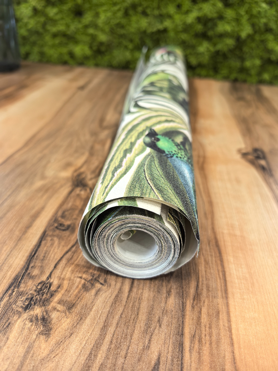 Обои с птицами и растениями.🌱🦩