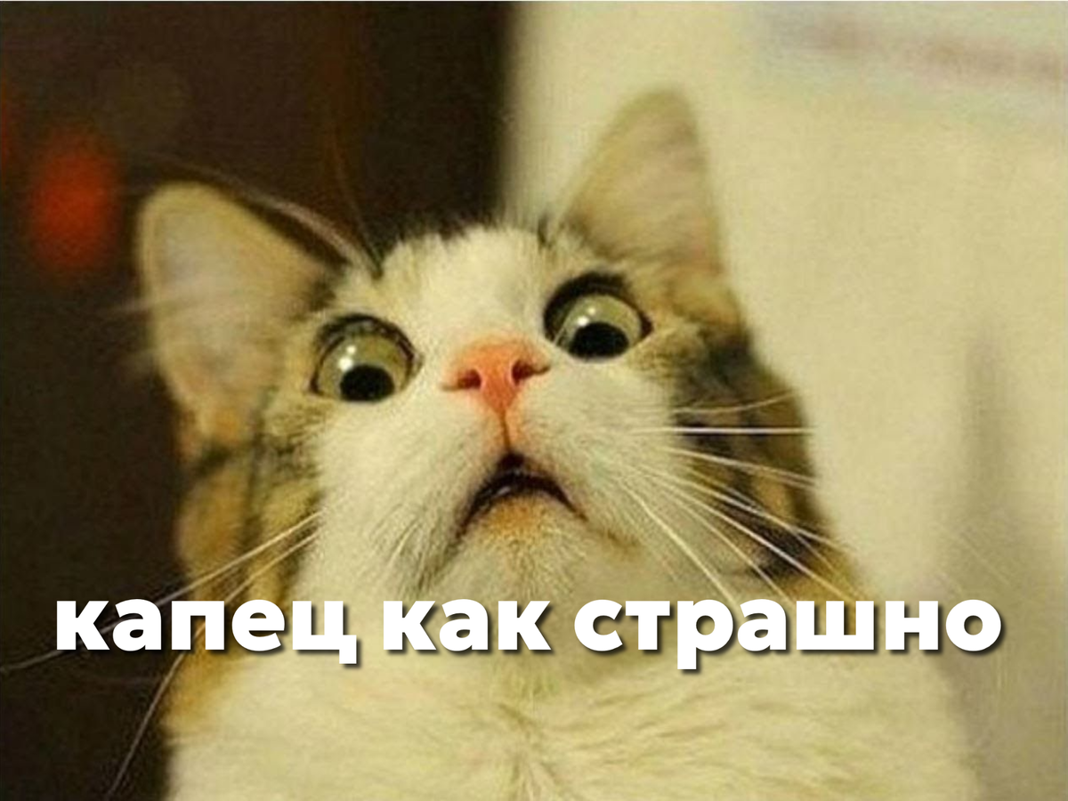 Блииин, а че обо мне подумают то? А вдруг все слиняют, че я есть то буду???
