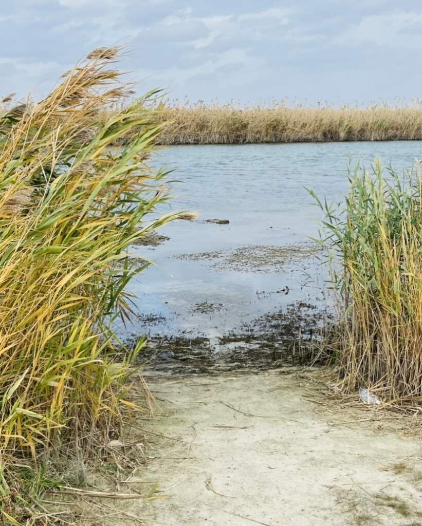    Фото: "Веселовские вести" Веселовские вести