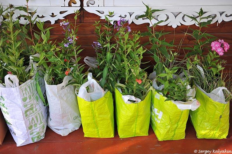 Это фото июльских заказов позапрошлого года - флоксы уже цвели