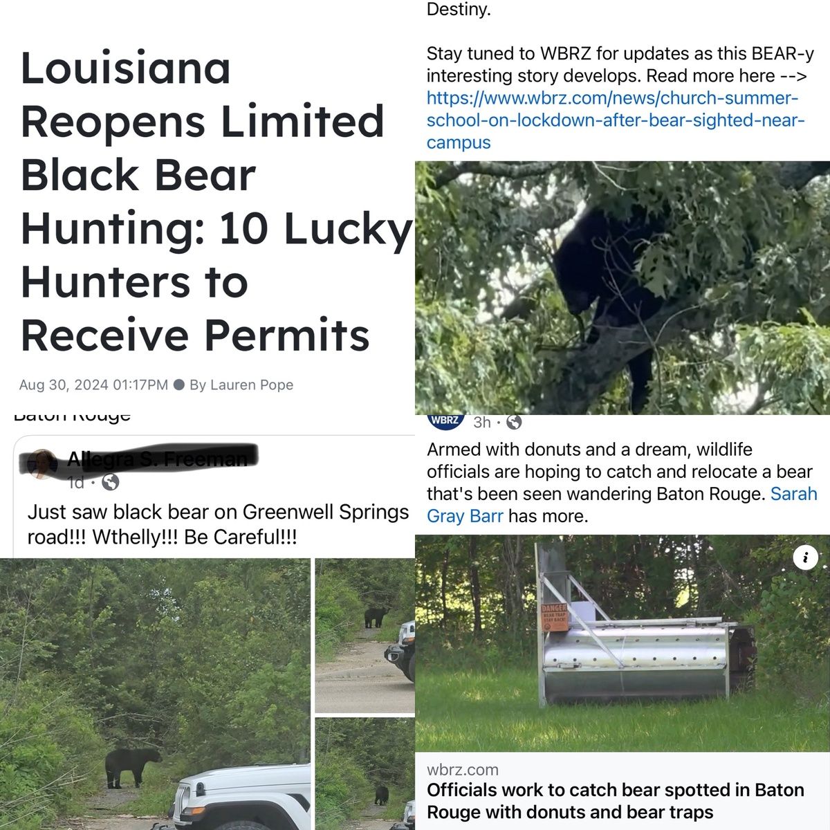 Как только в Луизиане разрешили охоту на медведей - они тут же пришли а город. Совпадение? 