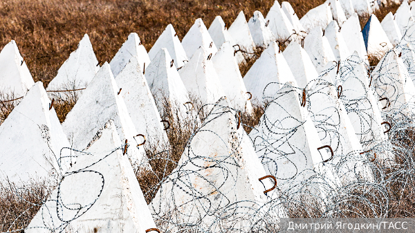     Фото: Дмитрий Ягодкин/ТАСС   
 Текст: Денис Тельманов