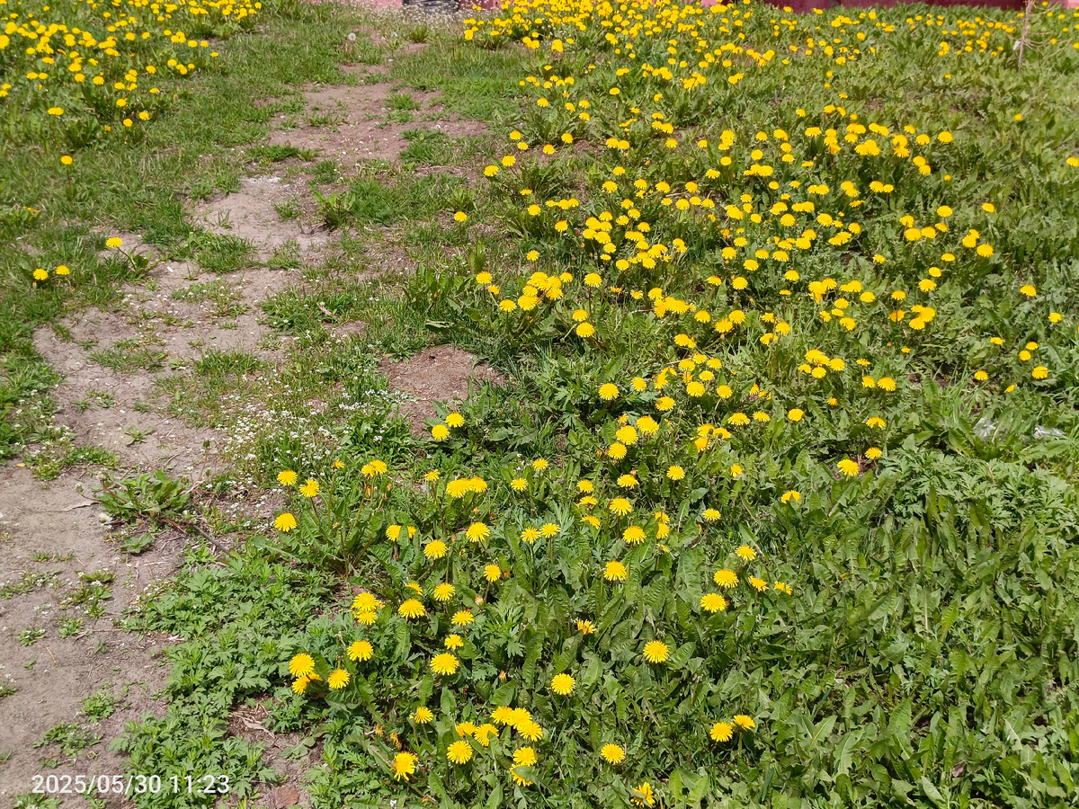 30 мая Усинск