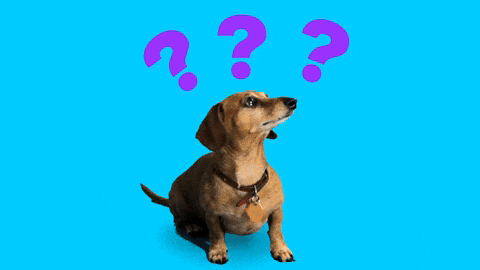Giphy