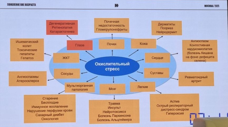 Влияние окислительного стресса на разные системы организма