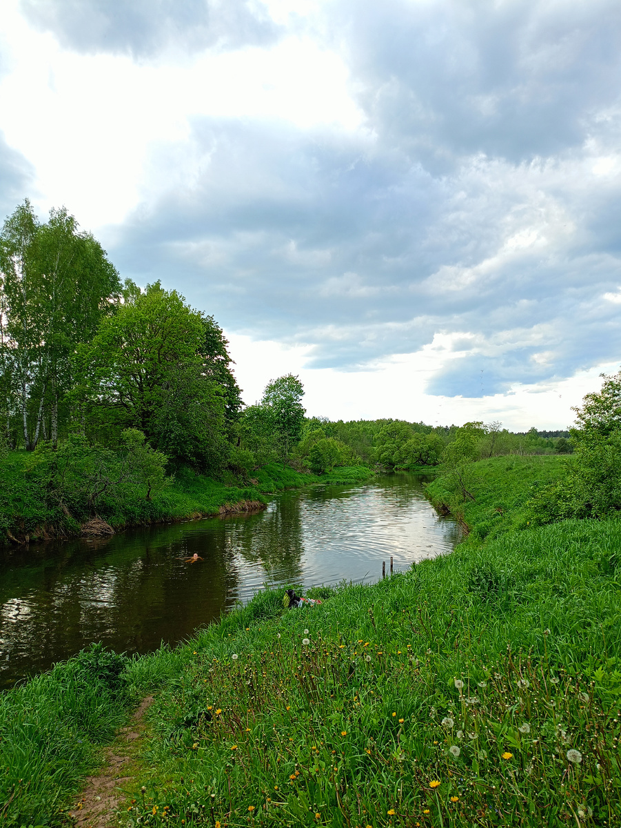 Фото автора. Это  мы вчера с внуками ходили на речку. Честно, мне одной спокойнее. Либо, когда идём только с одним из внуков. 