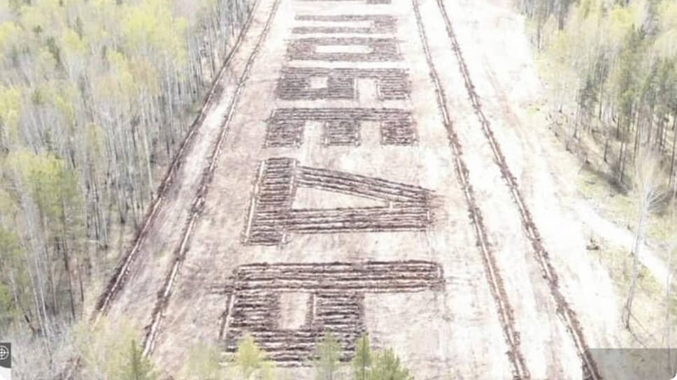 Мемориальная роща-геоглиф.📷Фото: Департамент информационной полититки Свердловской области